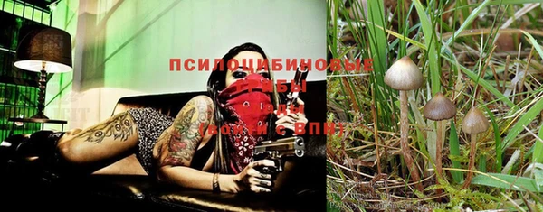 таблы Лабытнанги