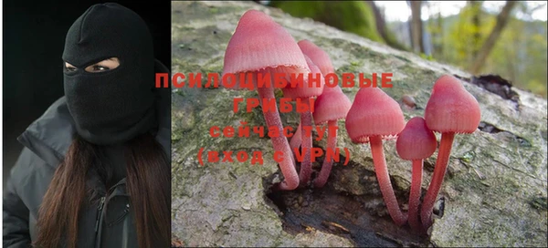 таблы Лабытнанги